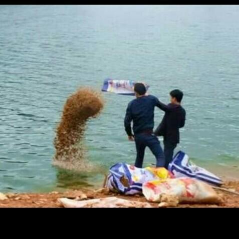 科學(xué)釣魚最新探索，學(xué)習(xí)與實(shí)踐的成就感之旅