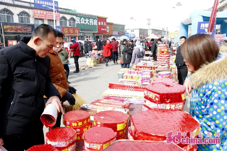 淘元素最新，淘淘的奇妙冒險之旅與友情的溫暖體驗