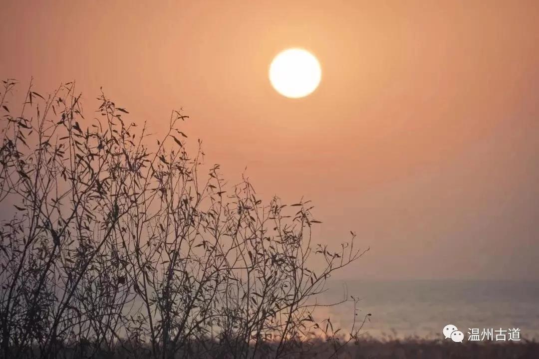 最新瘟疫詩詞，時代之聲與人文關懷的交融展現(xiàn)