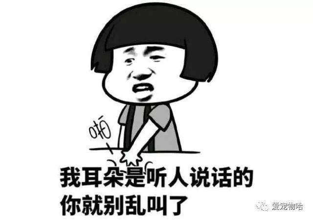 最新枕邊笑話，科技小寶貝，生活添樂趣