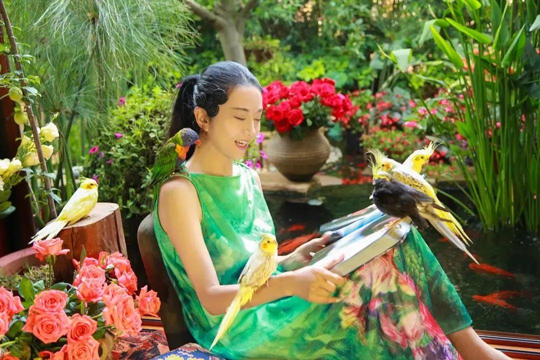 昆明最新舞蹈，文化現(xiàn)象的深度探討