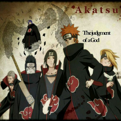 曉組織最新動態(tài)揭秘，探究其發(fā)展與影響