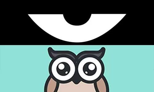 最新積目，全面解讀與觀點(diǎn)闡述