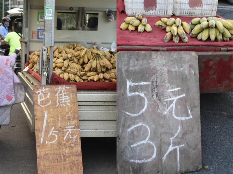 芭蕉最新價(jià)格，開啟心靈平靜的綠色之旅