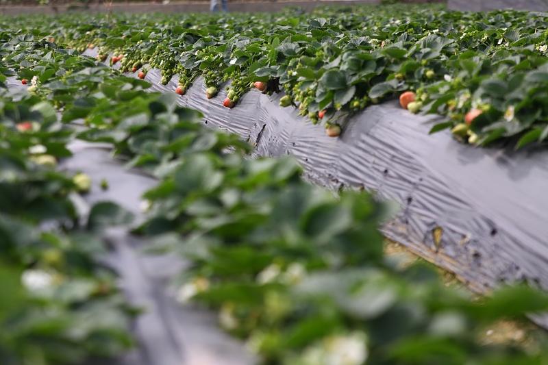 湖北最新封鎖，科技智能重塑防線，守護(hù)生活安全