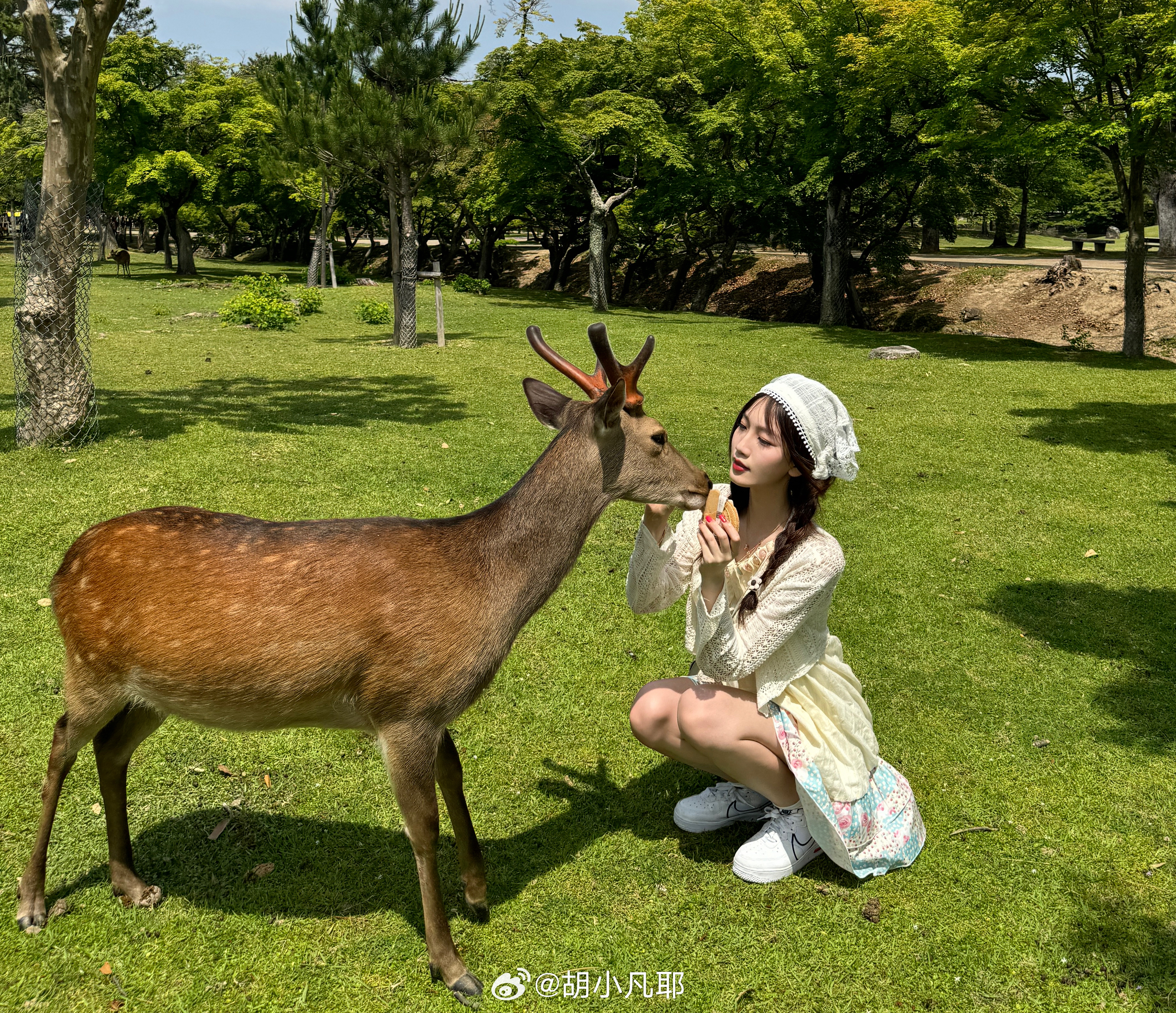 小鹿鹿最新，自然美景的探索之旅