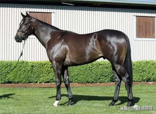 卡拉卡最新指南，任務(wù)完成與技能學(xué)習(xí)步驟攻略