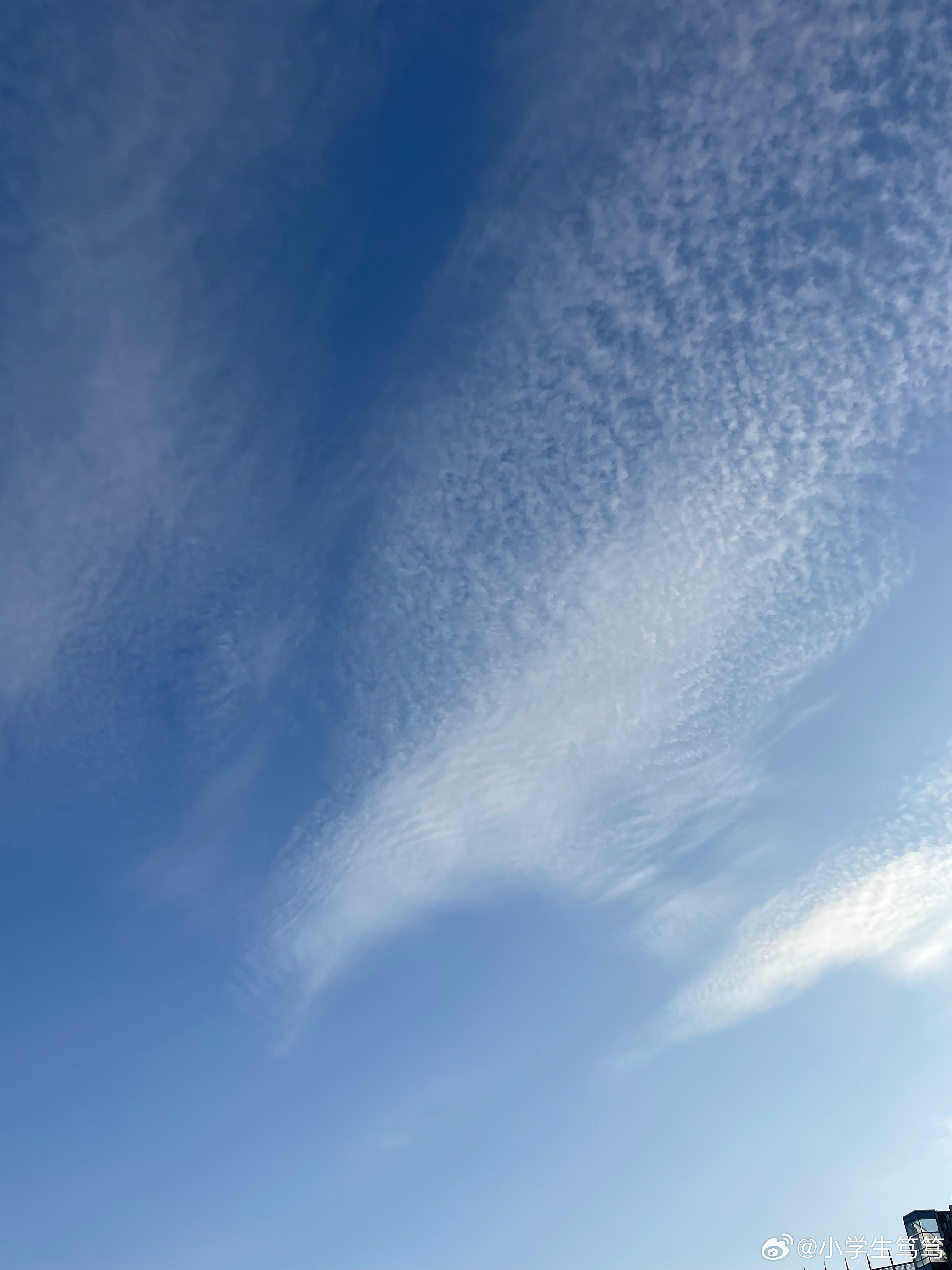 云飄飄最新，小巷深處的獨(dú)特風(fēng)味美食體驗(yàn)