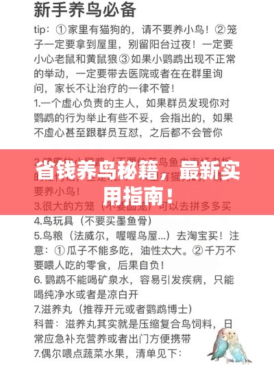 最新養(yǎng)鳥法規(guī)解析，觀點(diǎn)闡述與深度探討