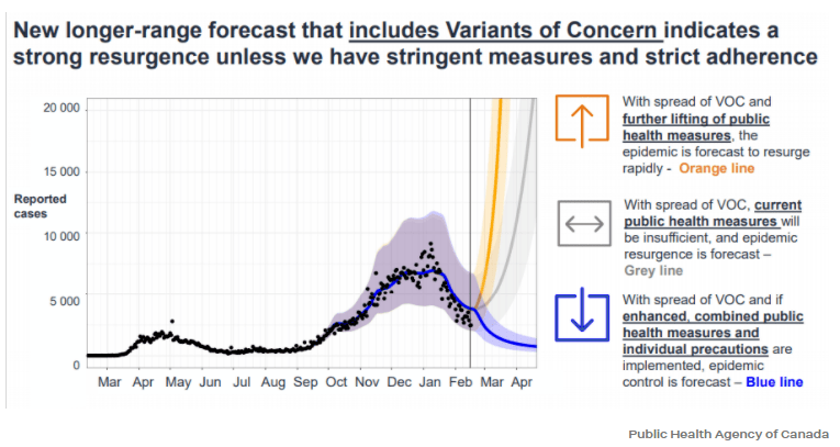 約克最新疫情動態(tài)，學(xué)習(xí)變化中的自信與成就力量