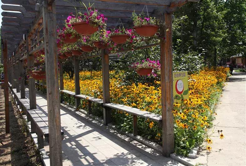 月牙灣最新深度闡述觀點(diǎn)解析