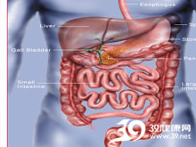 高科技產(chǎn)品重塑生活，體驗前沿魅力，探索腸鳴最新技術(shù)