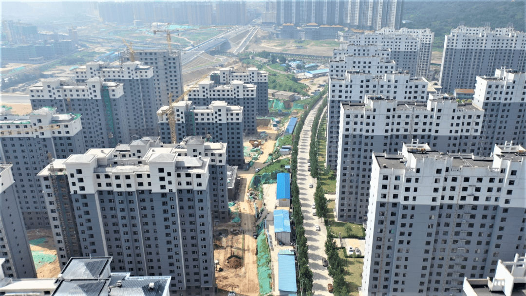 陽泉疫情最新動態(tài)及應對指南，初學者與進階用戶必備知識