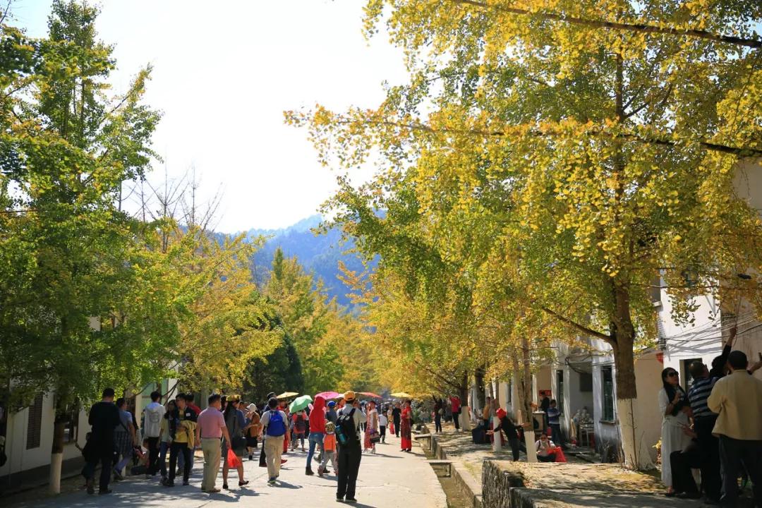 南雄最新現(xiàn)狀，科技前沿產(chǎn)品引領(lǐng)未來生活發(fā)展