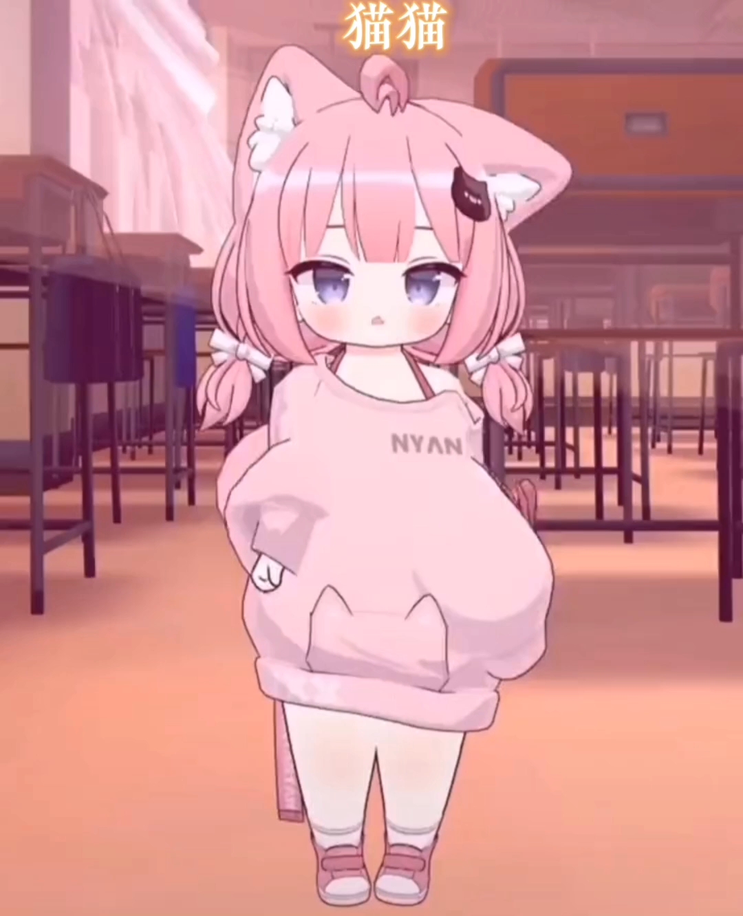 貓妹妹最新動態(tài)，萌態(tài)盡顯，溫暖你的心??