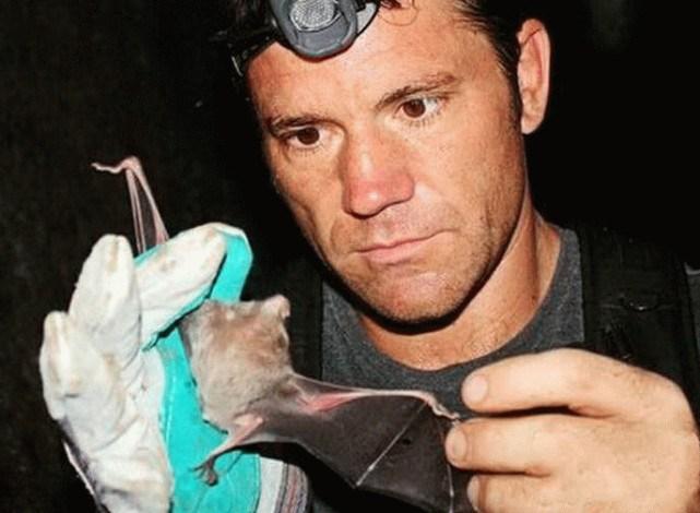 蝙蝠最新電影，自信與成長的翅膀，勵(lì)志翱翔天空之旅