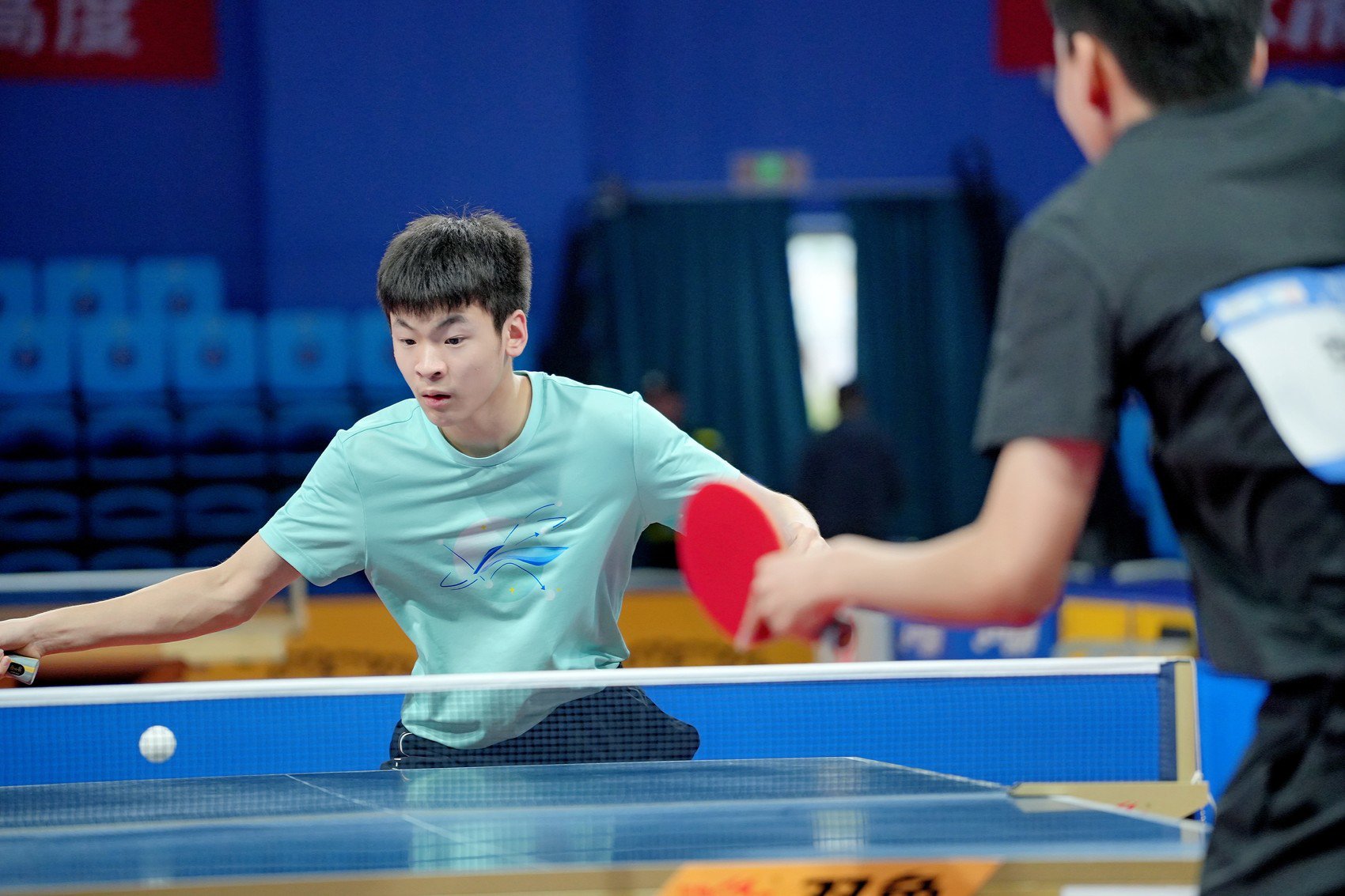 乒乓比賽最新動(dòng)態(tài)與成長(zhǎng)指南，一步步成為乒乓高手之路