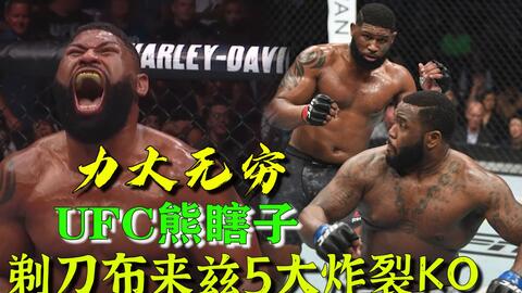 小菊最新比賽，友誼與夢想的絢爛綻放