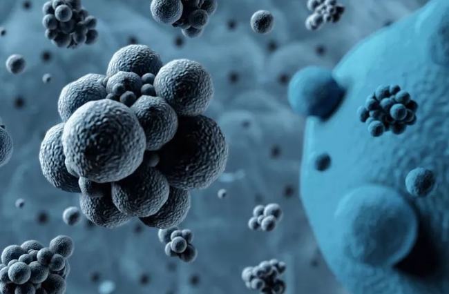 病毒擴散最新情況，自然探險之旅尋求內(nèi)心平和之地