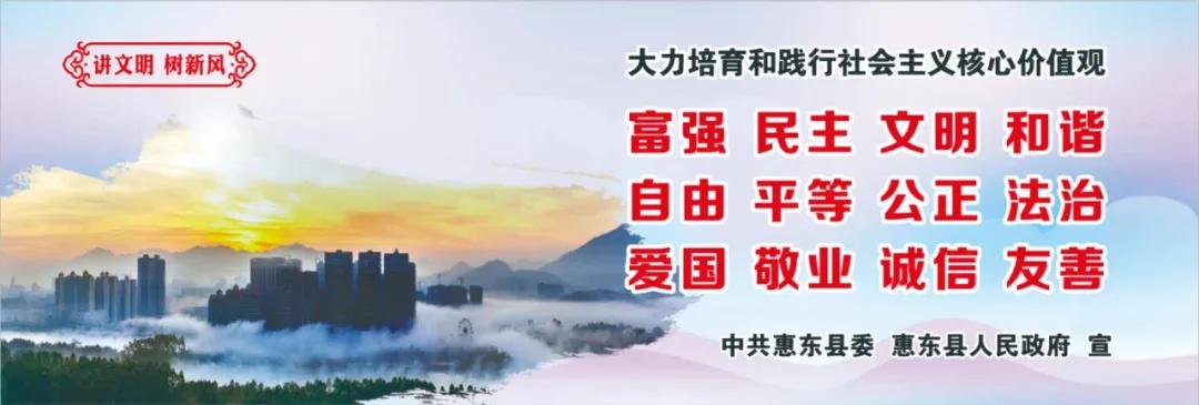 惠州肺炎最新動態(tài)，小巷深處的獨特小店背后的故事