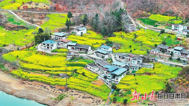 揭秘文縣，歷史背景、重大事件與時代地位全景展示