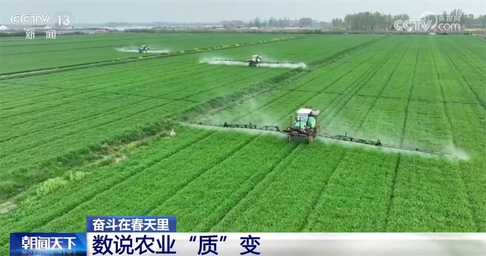 最新農(nóng)業(yè)農(nóng)村發(fā)展，播種希望，收獲自信與成就感