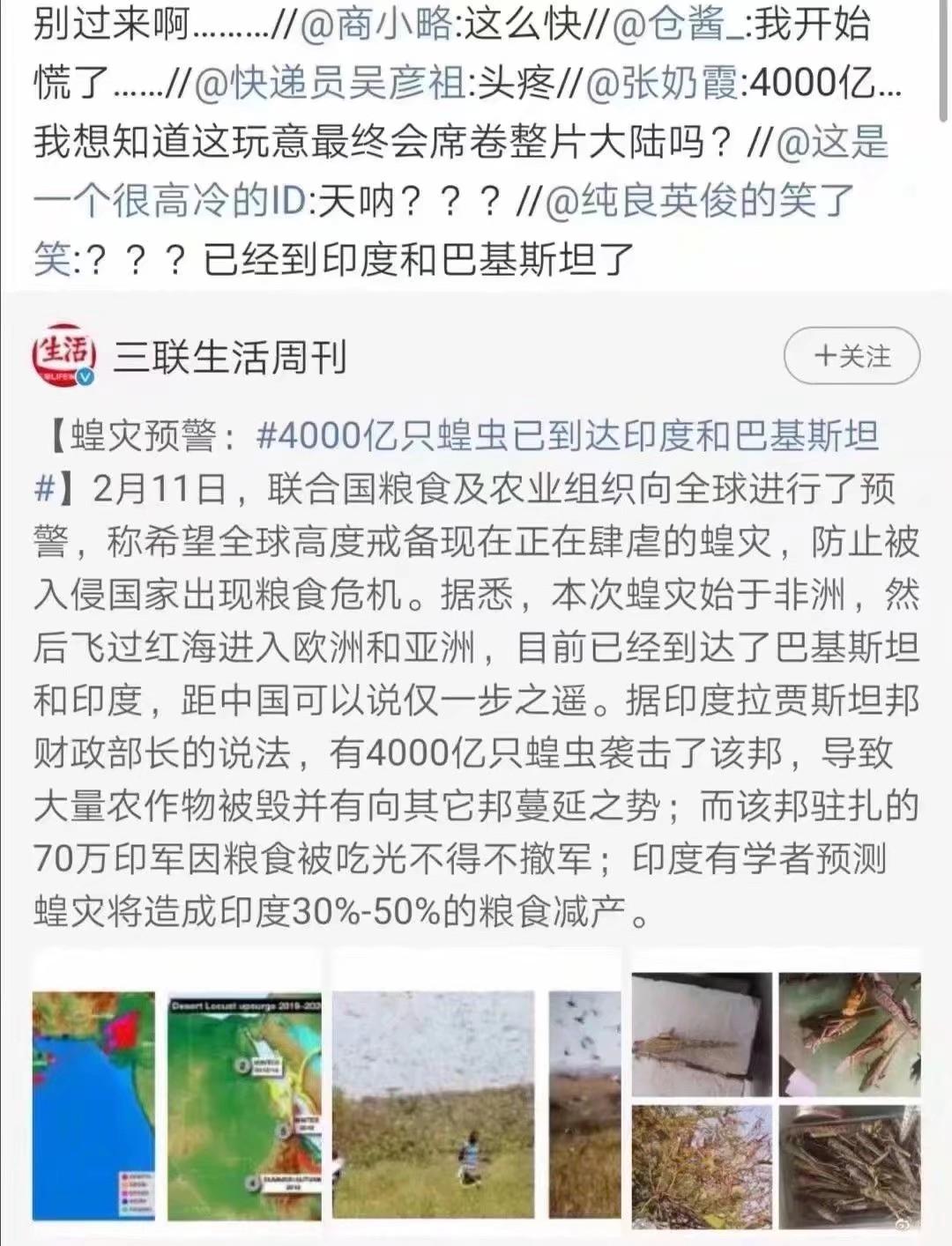 蝗蟲最新動(dòng)態(tài)，防治與監(jiān)測(cè)的全面指南