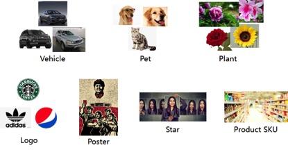 模型壓縮最新進(jìn)展，帶你探索前沿科技，高效應(yīng)用輕松實(shí)現(xiàn)！