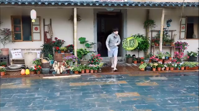 最新蘑菇屋，自然與生活完美融合的夢幻之地