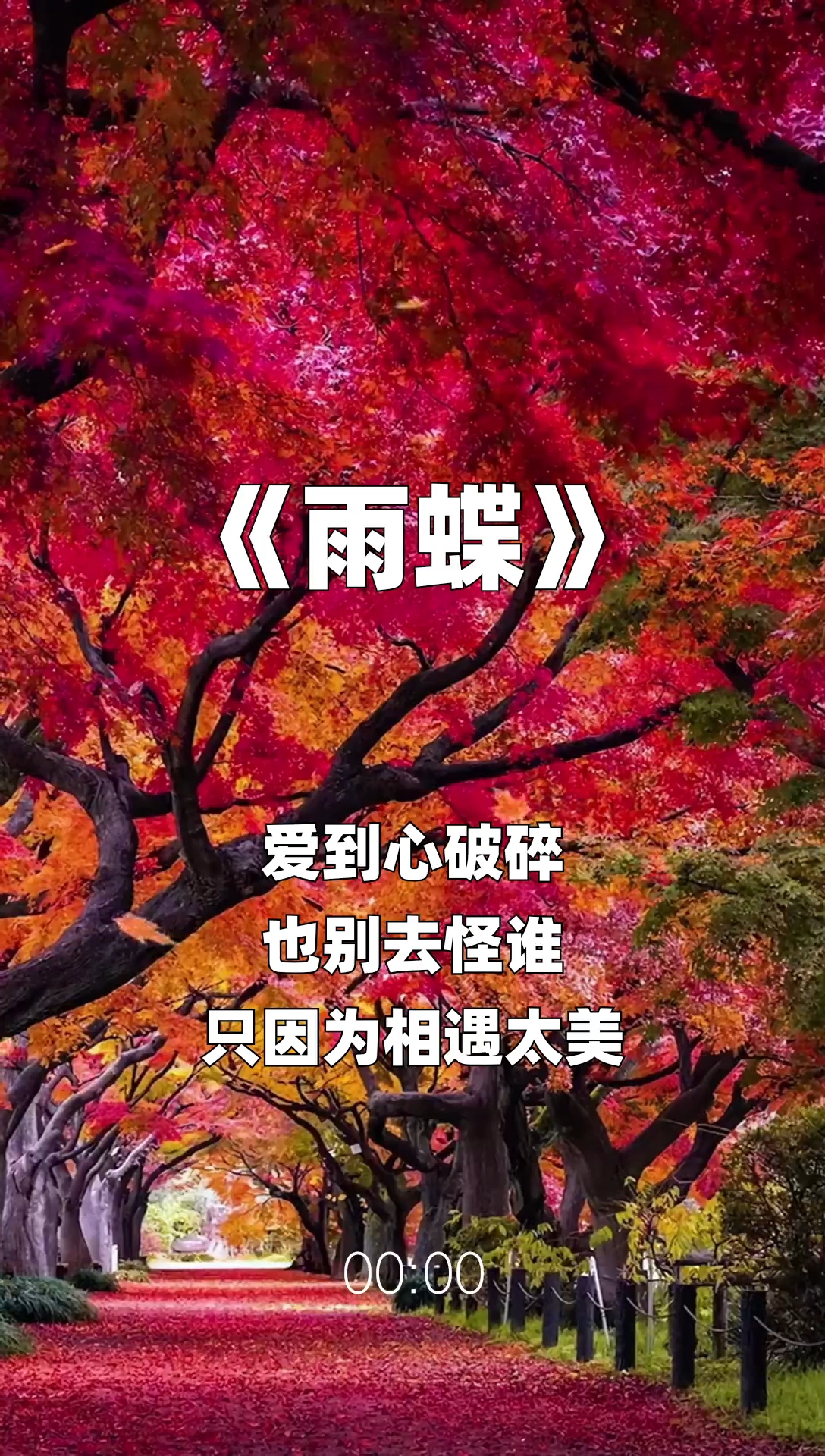 雨蝶最新步驟指南，如何完成任務(wù)或?qū)W習技能？