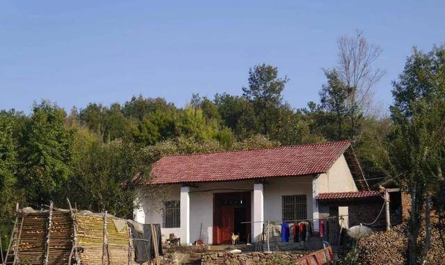 新時(shí)代田園生活揭秘，鄉(xiāng)村農(nóng)村的最新風(fēng)貌與體驗(yàn)