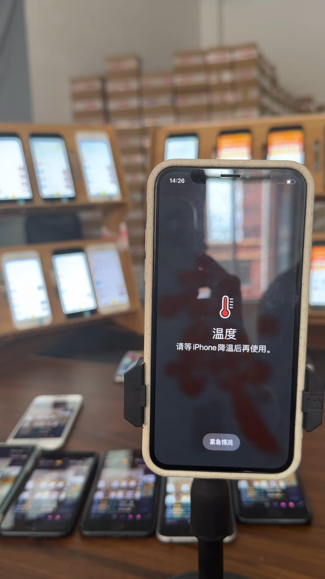 蘋果最新直播，科技與文化的完美融合盛宴