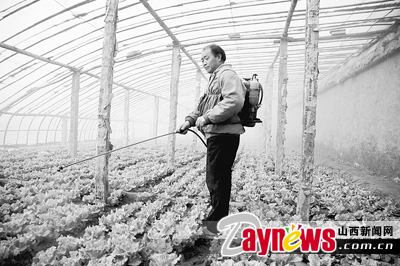 最新農(nóng)藥抽檢結(jié)果出爐，守護(hù)農(nóng)田安全，你我他的共同責(zé)任