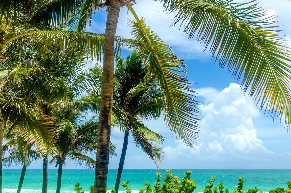 科技重塑旅行體驗(yàn)，最新付費(fèi)機(jī)場概覽