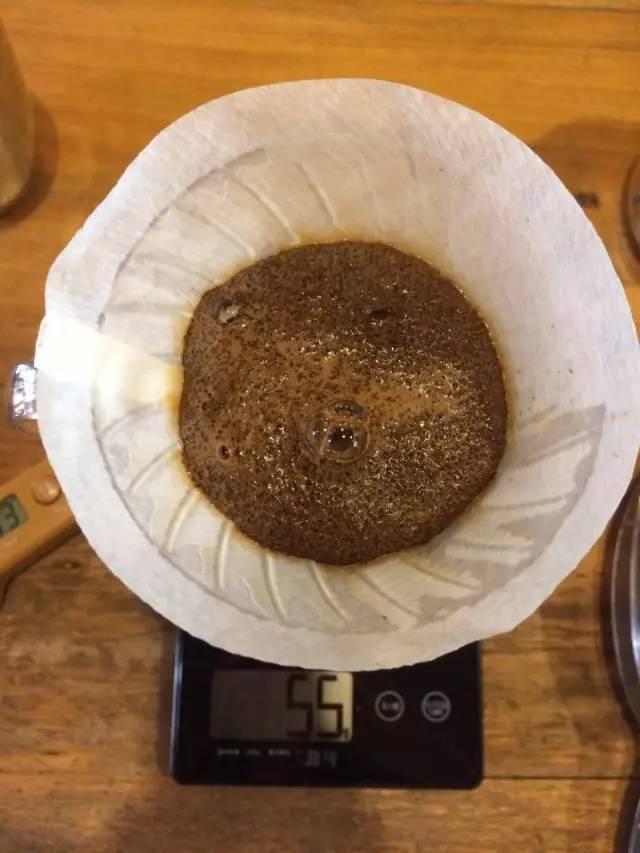 最新萃取法詳解，步驟指南與操作技巧