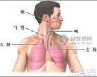 咸豐肺炎最新全面指南與詳解，癥狀、治療、步驟解析