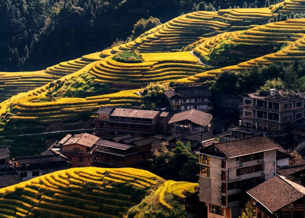 金秋天最新時尚潮流，獨特風(fēng)情展現(xiàn)魅力風(fēng)采