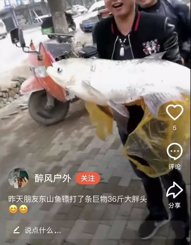 射魚神器進(jìn)化升級，學(xué)習(xí)變革與自信成就之源