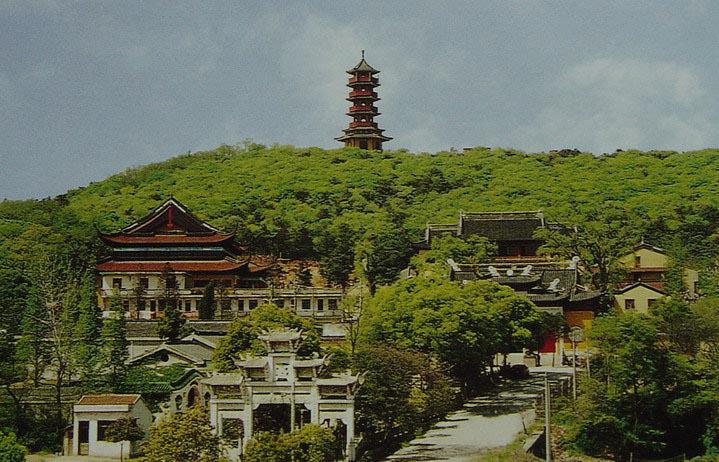 愛情谷最新房價揭秘，巷弄深處的獨(dú)特風(fēng)情與誘人房價