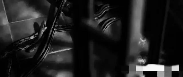 香港最新房?jī)r(jià)趨勢(shì)展望，2025年分析與展望