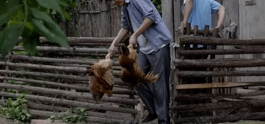 最新版偷雞，從變化中學習，擁抱自信，成就非凡之路