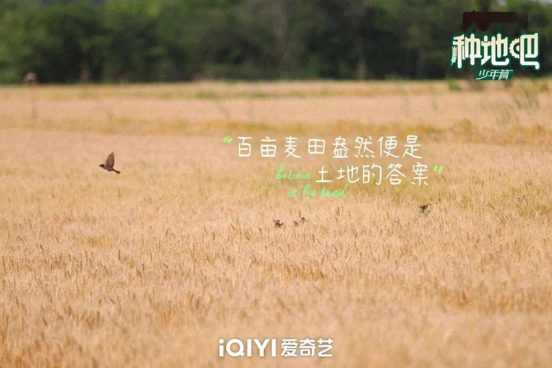 種地吧最新語(yǔ)錄，探索未來(lái)農(nóng)業(yè)的高科技魅力