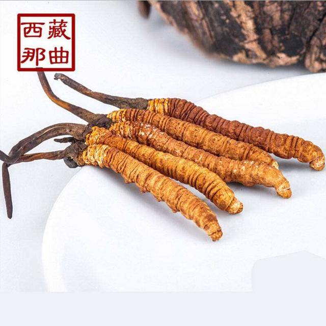 揭秘2025年蟲草最新價(jià)格，探尋小巷中的秘密行情！