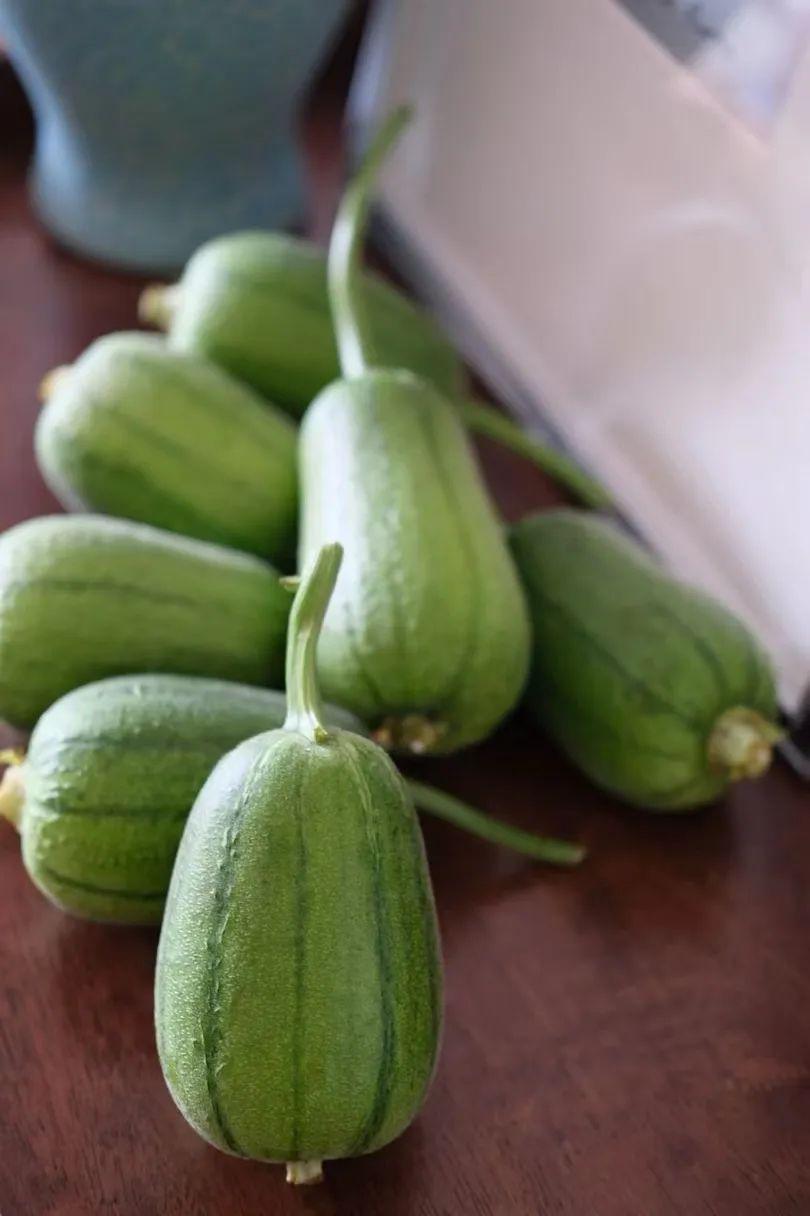 蘋果絲瓜最新版，全新升級魅力體驗