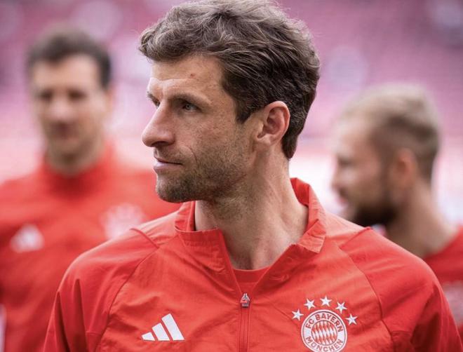 慕尼黑最新動態(tài)，城市生活的溫馨日常