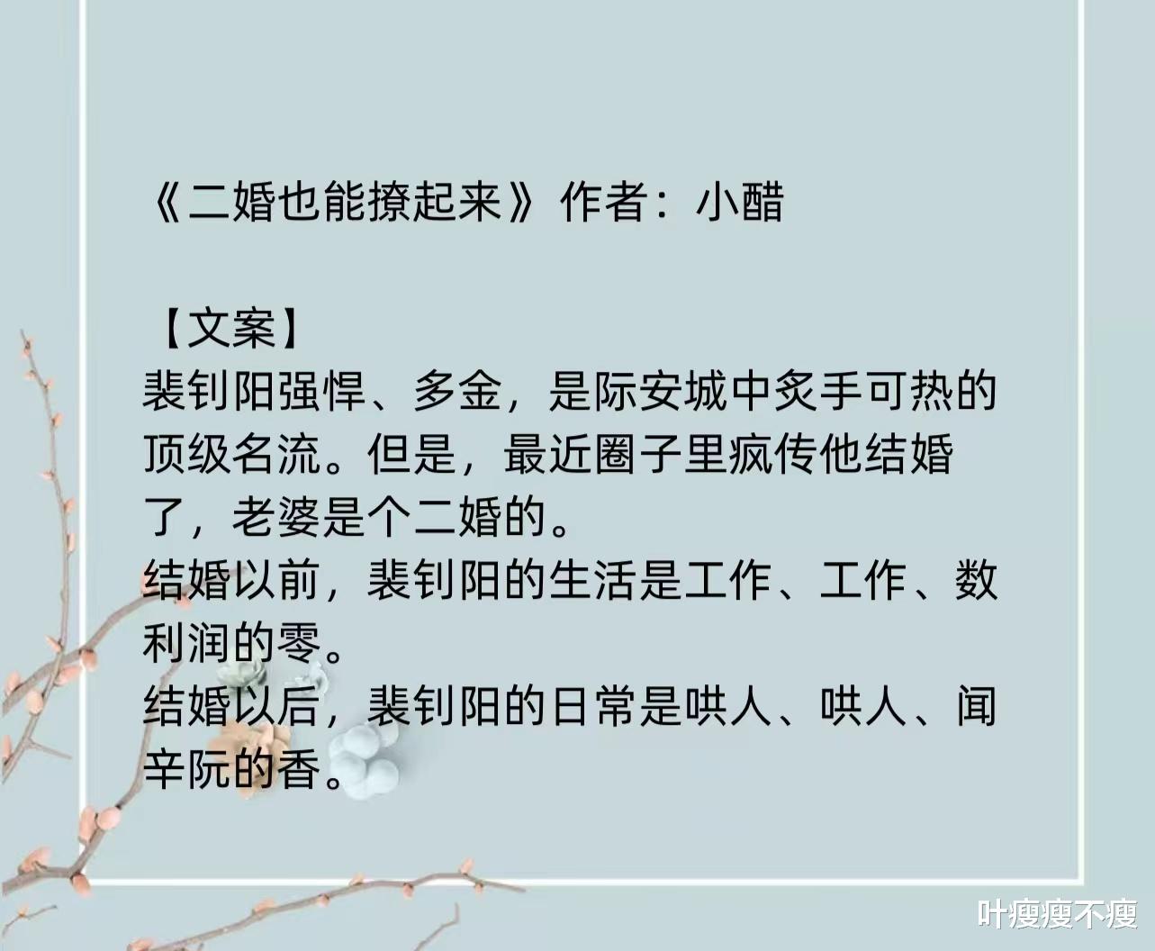 最新二婚小說，小巷深處的浪漫故事