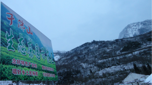 千佛山綿陽(yáng)最新探索，巷弄深處的獨(dú)特風(fēng)味之旅