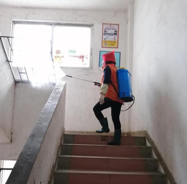 蓬江區(qū)最新高科技住宅，重塑未來生活體驗(yàn)的首選之地