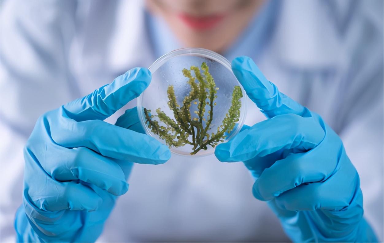 最新病毒繪畫作品欣賞