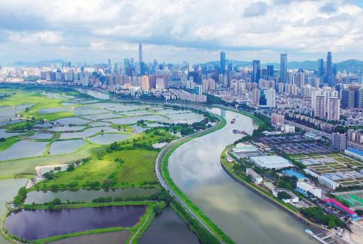 當(dāng)下流行語探尋之旅，與大自然共舞，尋找內(nèi)心平靜之旅